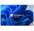 Windows 11 Pro OEM Key 1 PC